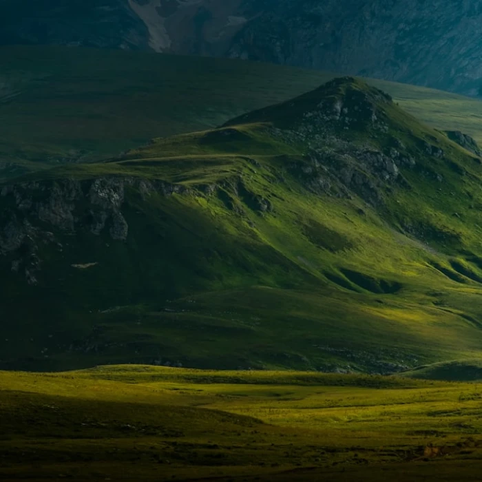 Discover CIS's Green Havens: Top Parks & Gardens for Ultimate Relaxation