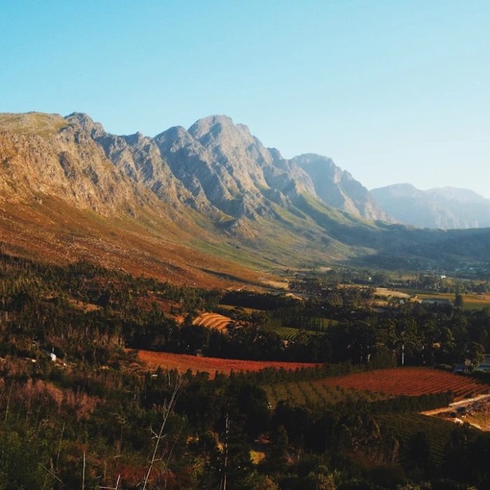 7 Local Festivals in South Africa You Have to See to Believe