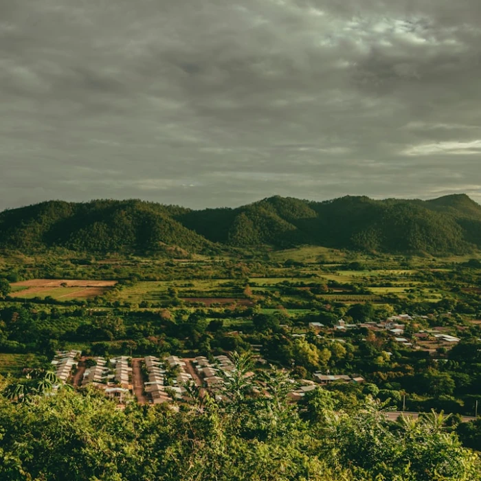 Unearthing Treasures: Your Ultimate Guide to Honduras' Top Outdoor Vintage & Antique Markets