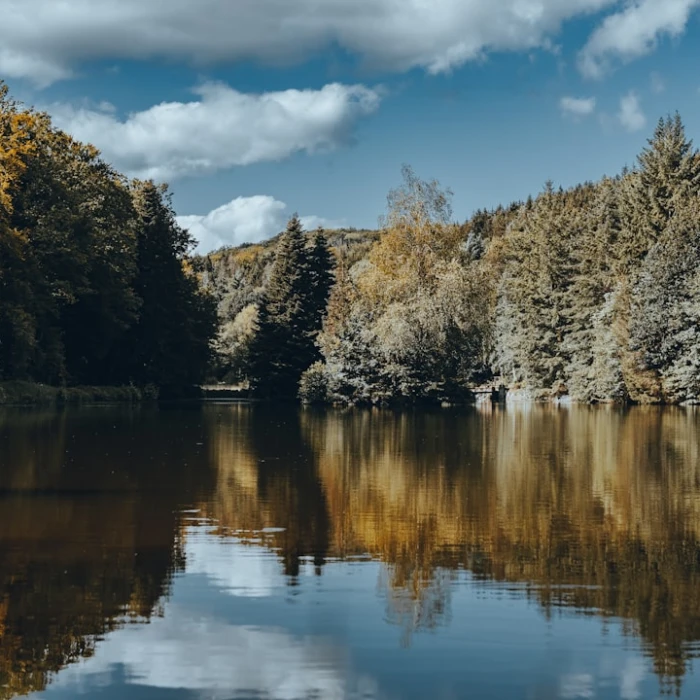 Discover Luxembourg's Watery Wonders: The Best Scenic Ferry Rides and Boat Trips