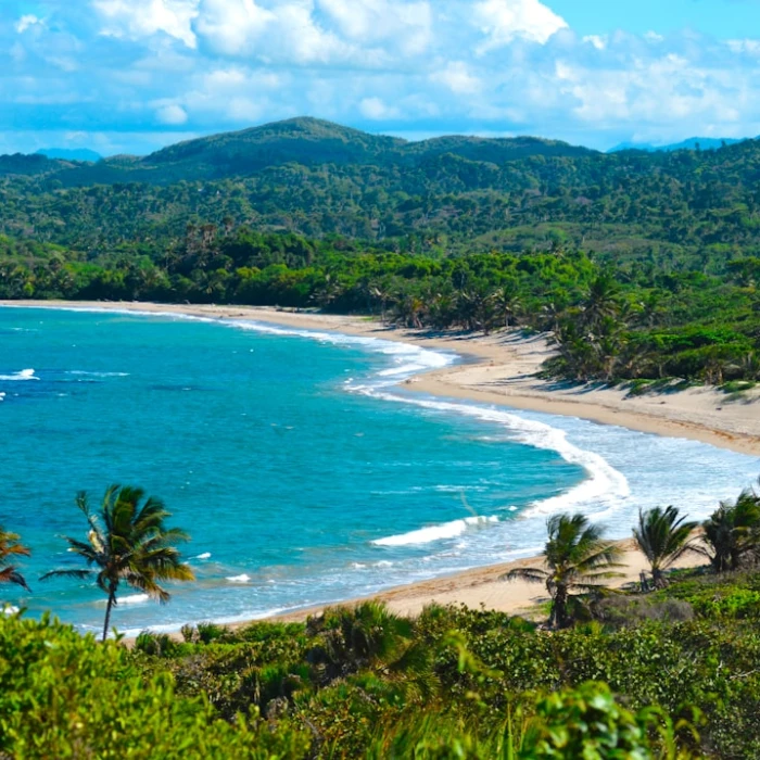 Discover the Best Local Drinks & Spirits of the Dominican Republic: Your Ultimate Guide