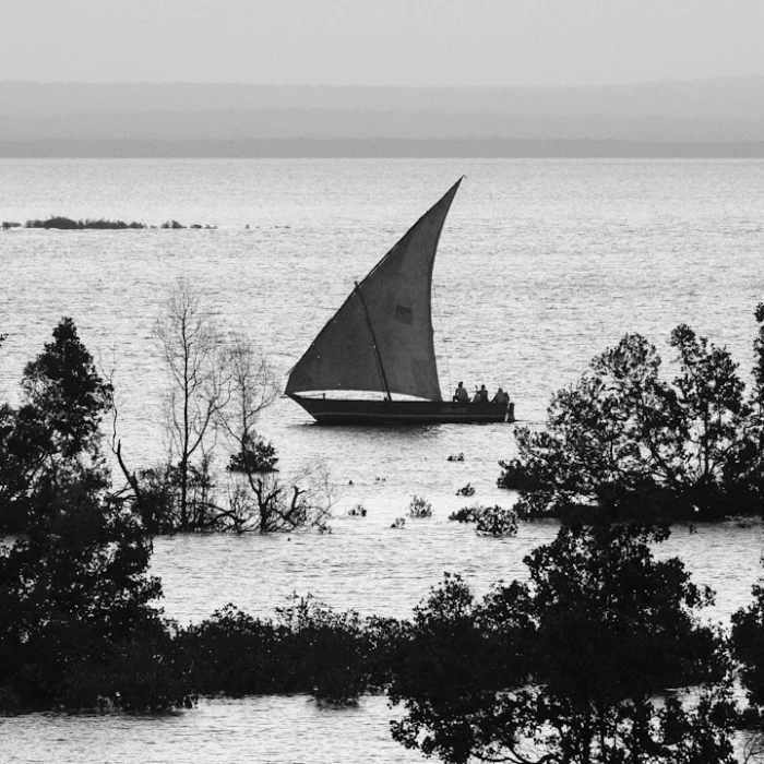 Discover Serenity: The Best Yoga Retreats & Spots in Mozambique