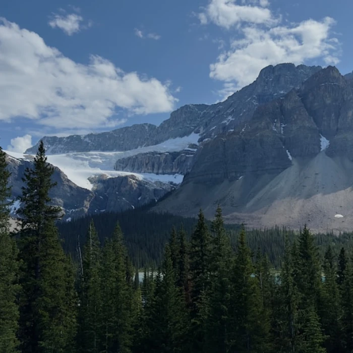 A Culinary Journey: Must-Try Traditional Dishes in The Commonwealth of Independent States