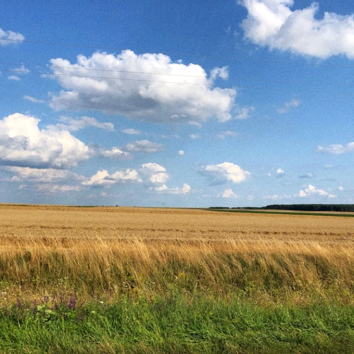 Navigating Travel to Ukraine: Essential Guide to Securing Travel Insurance