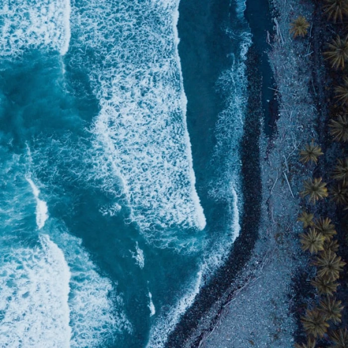 Discovering Dominica's Hidden Treasures: A Guide to the Best Local Antique Markets