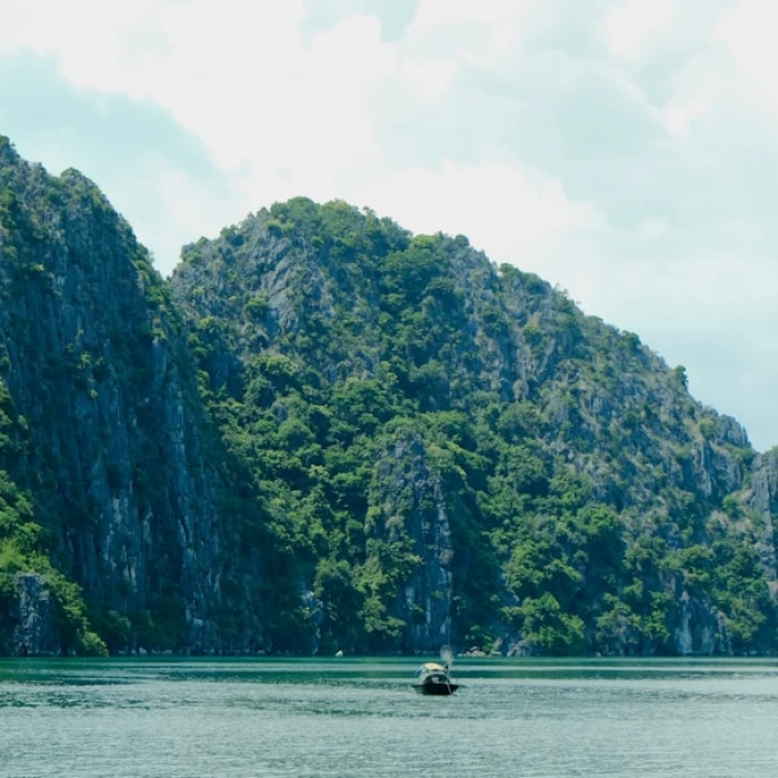 Discover Asia's Top Forest Bathing Destinations: Reconnect with Nature (Shinrin-Yoku)