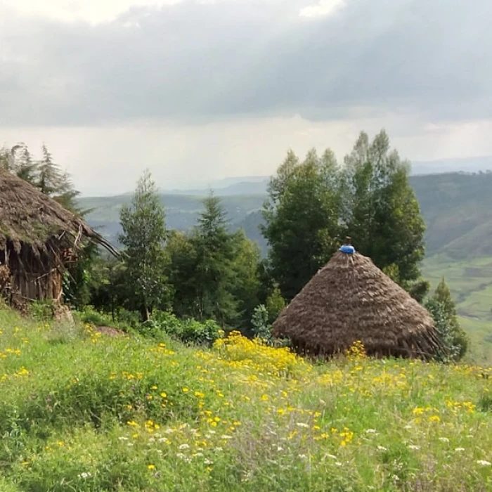 Ethiopia's Timeless Guardians: A Deep Dive into Iconic Clock Towers