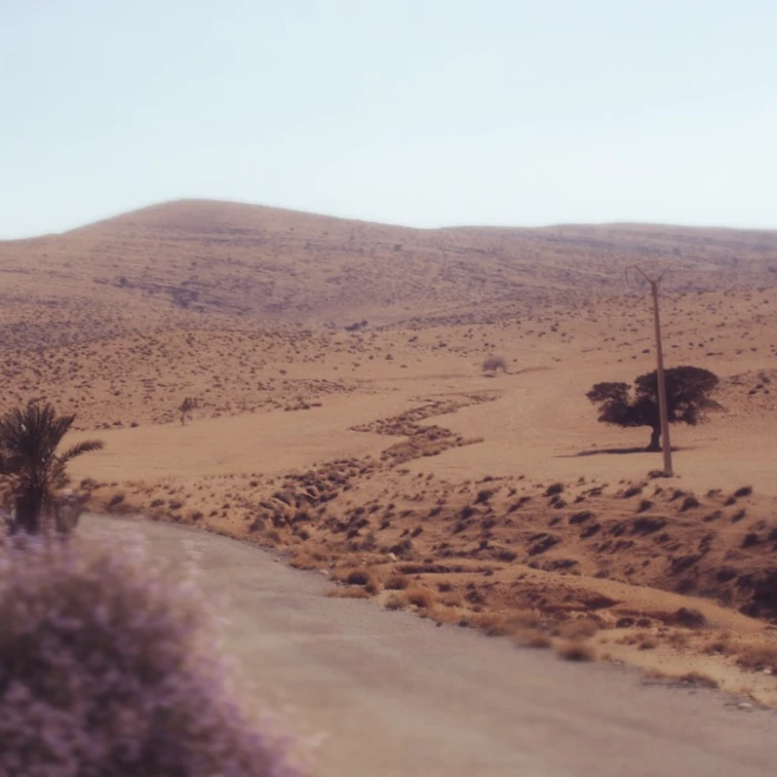 How to Visit Algeria on a Solo Female Traveler’s Budget