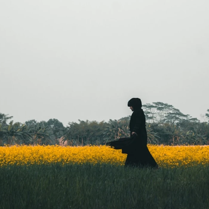 Unlock Bangladesh: Your Ultimate Guide to Off-Season Travel (Pros & Cons Revealed)