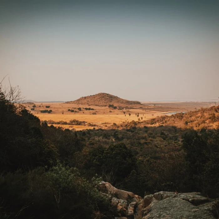 A Guide to the Best Botanical Gardens in South Africa