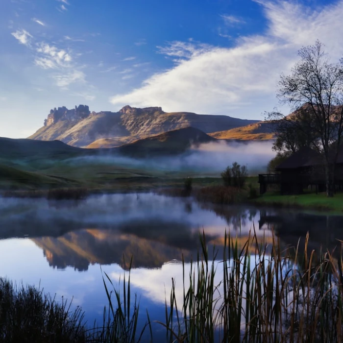 How to Stay Connected: Best Wi-Fi Spots in South Africa