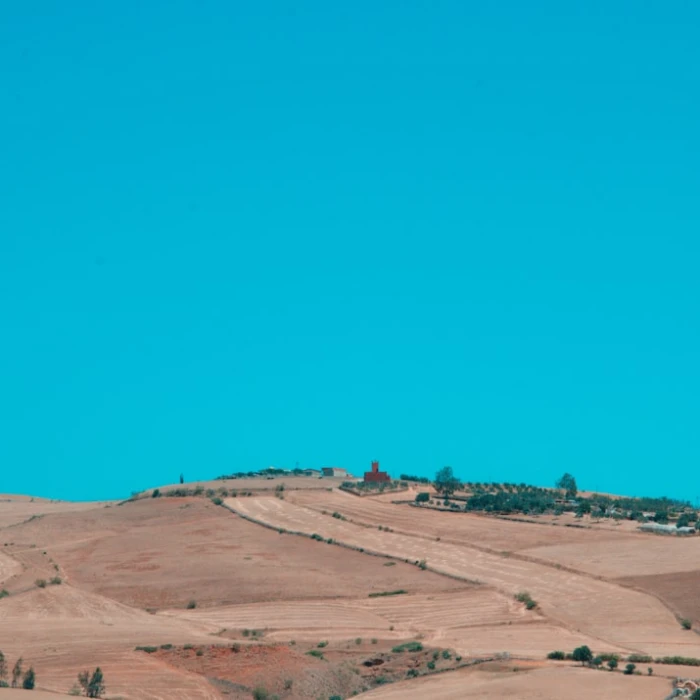 Where to Find the Best Vegan and Vegetarian Food in Morocco