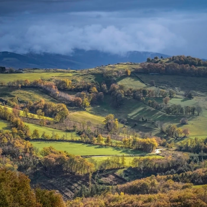 Craft Your Eco-Friendly Escape: A Sustainable Itinerary for French Saint Martin