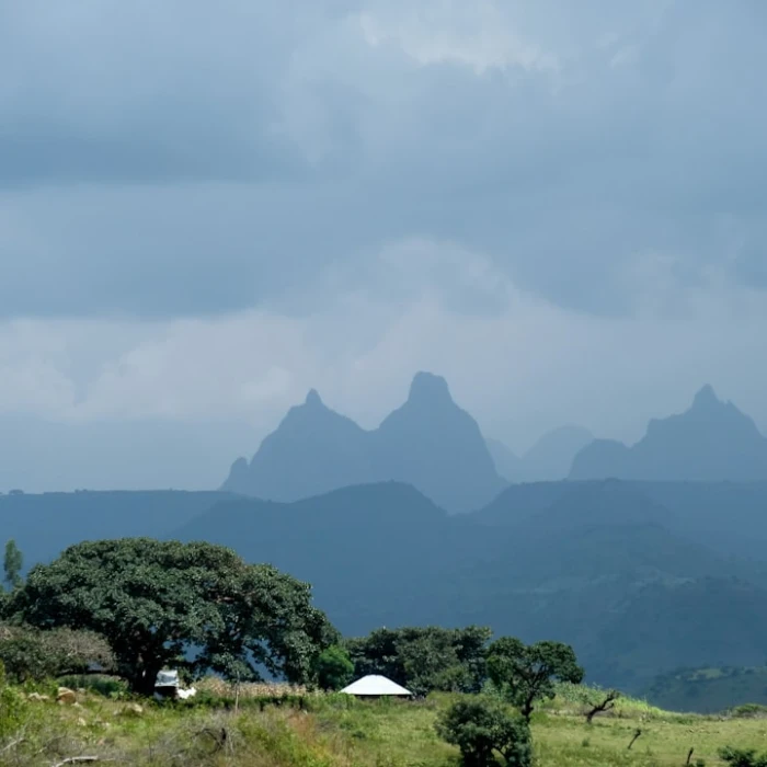 Your Essential Guide to Ethiopian Post Offices: Services & Tips