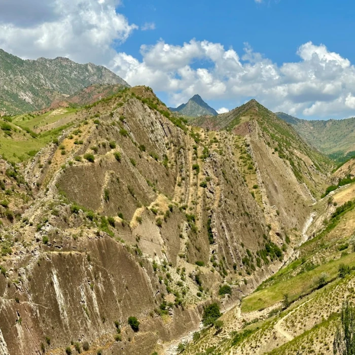 Uzbekistan Nightlife Guide: Top Entertainment Spots After Dark
