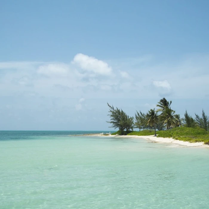 Discover Your Culinary Journey: Finding the Best Local Cooking Classes in the Cayman Islands