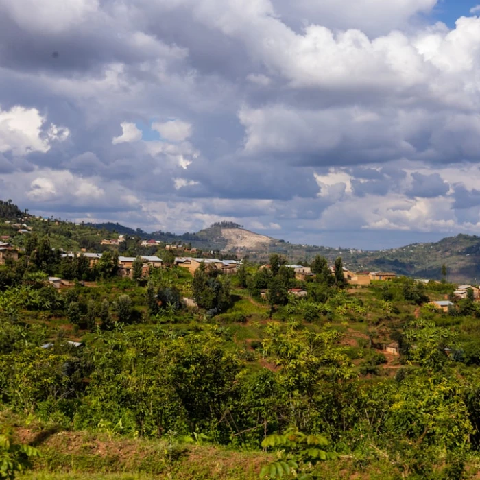 Your Ultimate Guide to Navigating Vending Machines in Rwanda