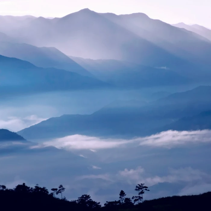 Unplug & Recharge: Top Digital Detox Destinations in Ecuador