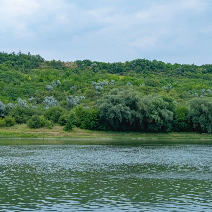 Discover Moldova's Aquatic Wonders: A Guide to the Most Captivating City Fountains
