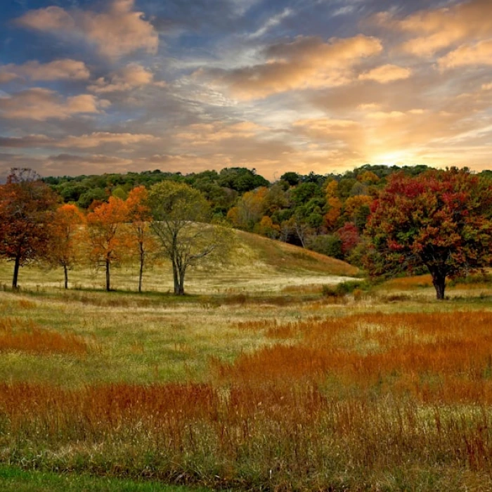 Explore Jersey by Bus: Your Ultimate Guide to Breathtaking Scenic Routes