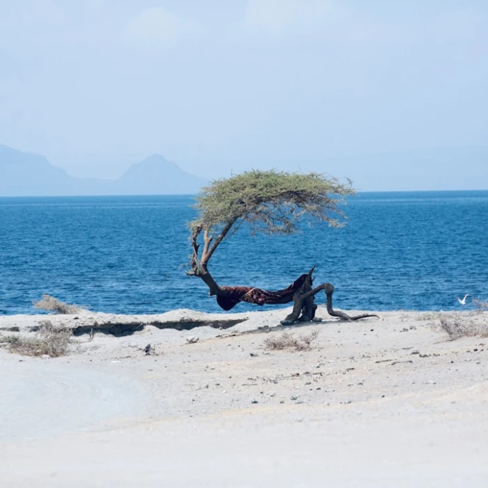 Whale and Dolphin Watching in Ethiopia: Unraveling the Myth