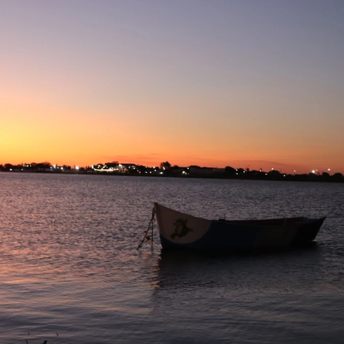 Unearthing Paraguay's Past: The Ultimate Guide to Its Open-Air Museums