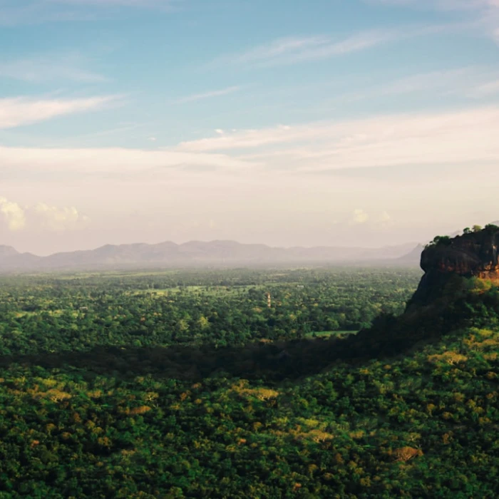 Discover Sri Lanka's Best Spice Markets: A Guide to Authentic Flavours