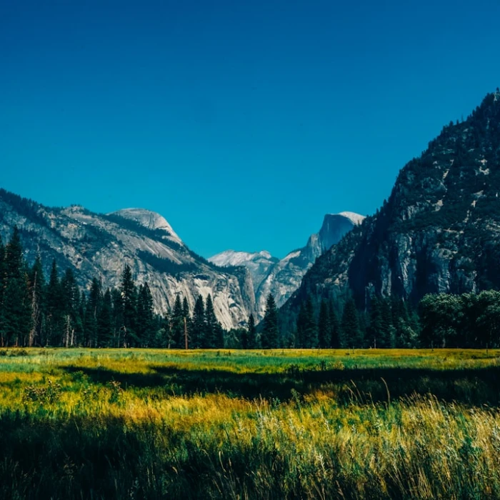 Unearthing Authentic American Souvenirs: Your Ultimate Guide to Local Finds