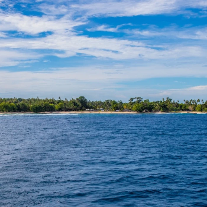 A Beginner’s Guide to Using the Metro in Papua New Guinea