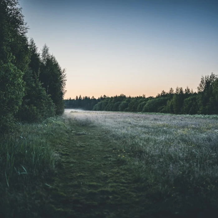 Stay Savvy: 10 Common Tourist Scams in Estonia & How to Avoid Them