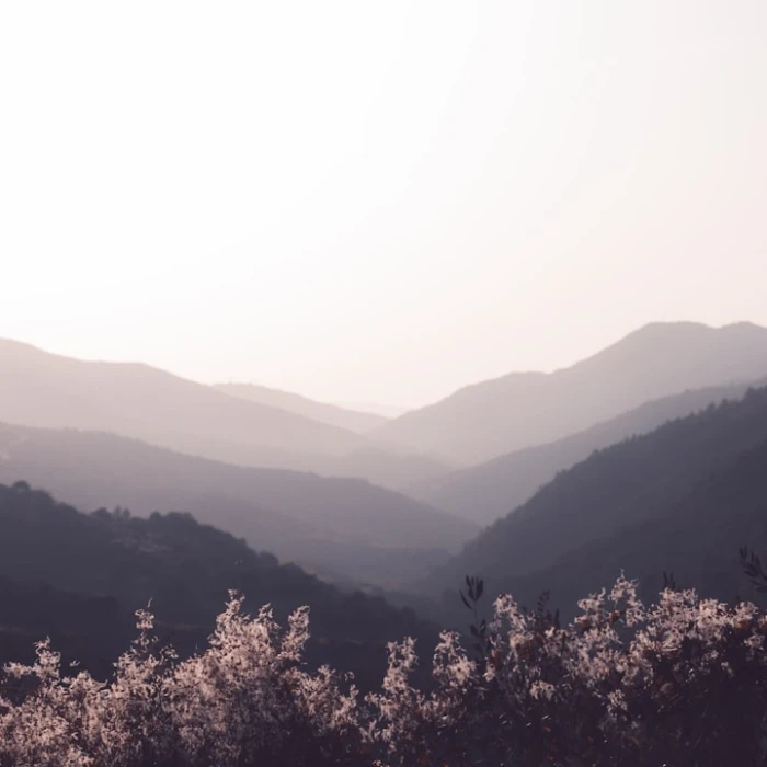 Volunteer Smart: Your Guide to Ethical Travel & Volunteering in Algeria
