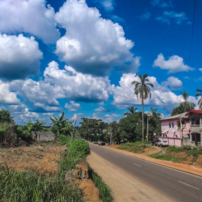Discover Authentic Cameroonian Crafts: Your Ultimate Guide to Traditional Art & Where to Buy It