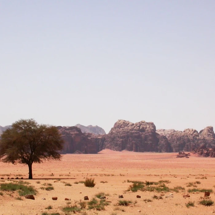Mastering Jet Lag: Your Essential Guide for Travel to the Middle East