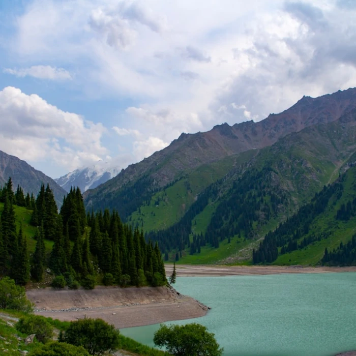 Exploring the Best Local Antique Markets in Kazakhstan