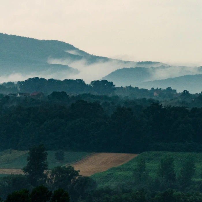 Discover Serbia's Most Instagrammable Spots: Elevate Your Travel Feed!