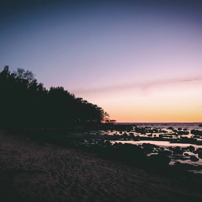Your Essential Estonia Travel Companion: Must-Have Apps for a Smooth Digital Trip