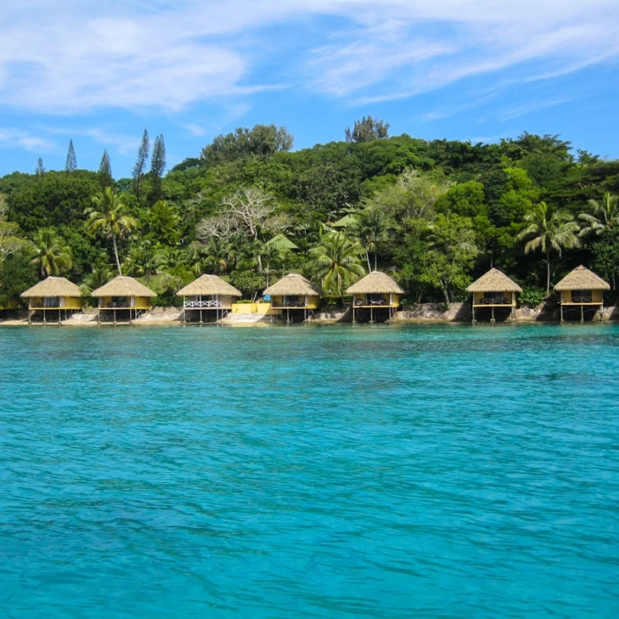 Discover Vanuatu's Sweet Side: Top Local Bakeries You Must Visit