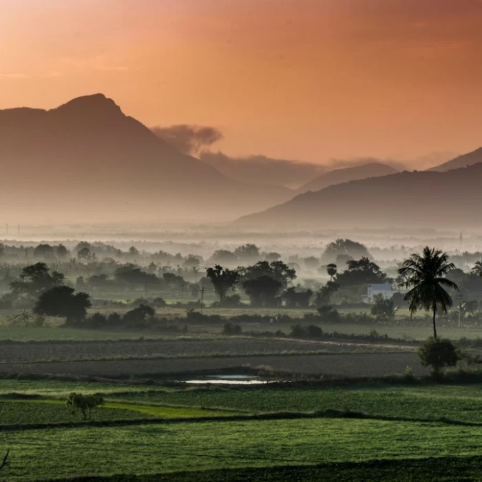 Discover Your Dream Vacation: Top 5 Luxury Resorts in India