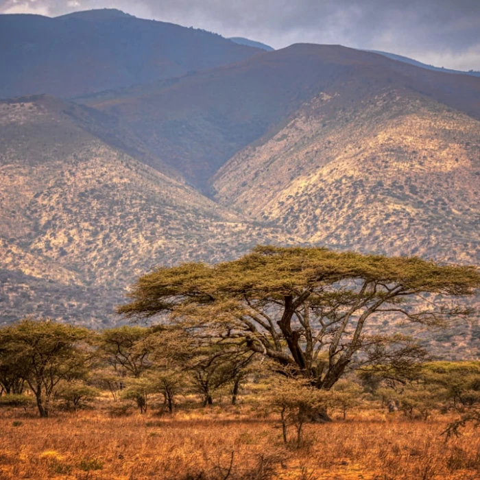 Top 7 Hidden Gems in Tanzania You Won't Find in Guidebooks