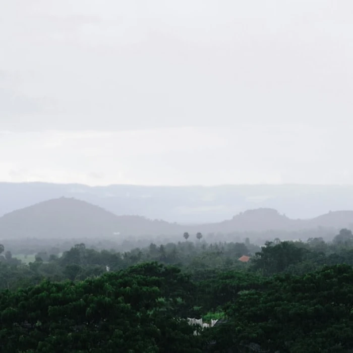 Untamed Cambodia: Your Ultimate Guide to Incredible Wildlife Spotting