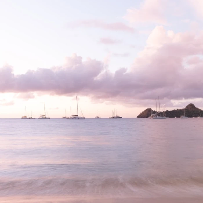 Mastering Saint Lucia's Public Transport: Your Essential Guide to Local Apps