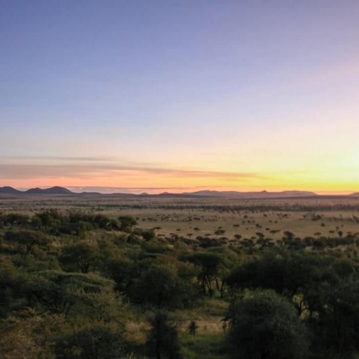 Unlocking Paradise: The Best Cities for Digital Nomads in Tanzania