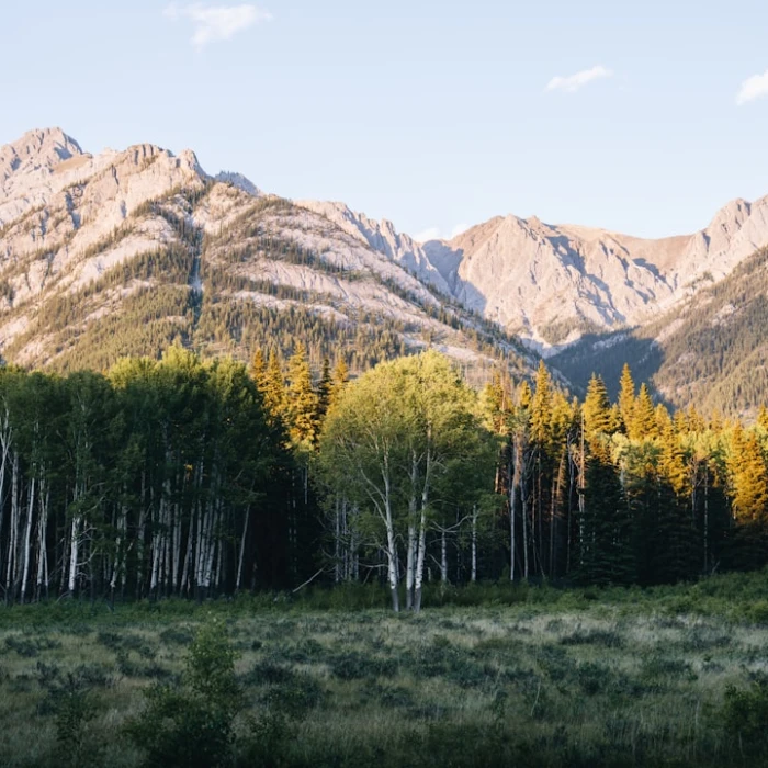 How to Experience North America Like a Local, Not a Tourist