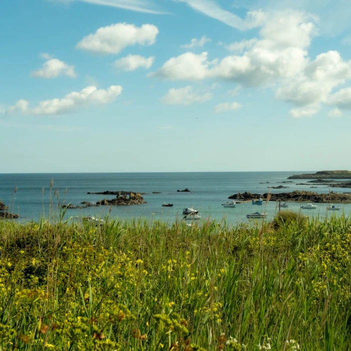 Guernsey's Best Ice Cream Shops: Your Ultimate Guide to Local Treats