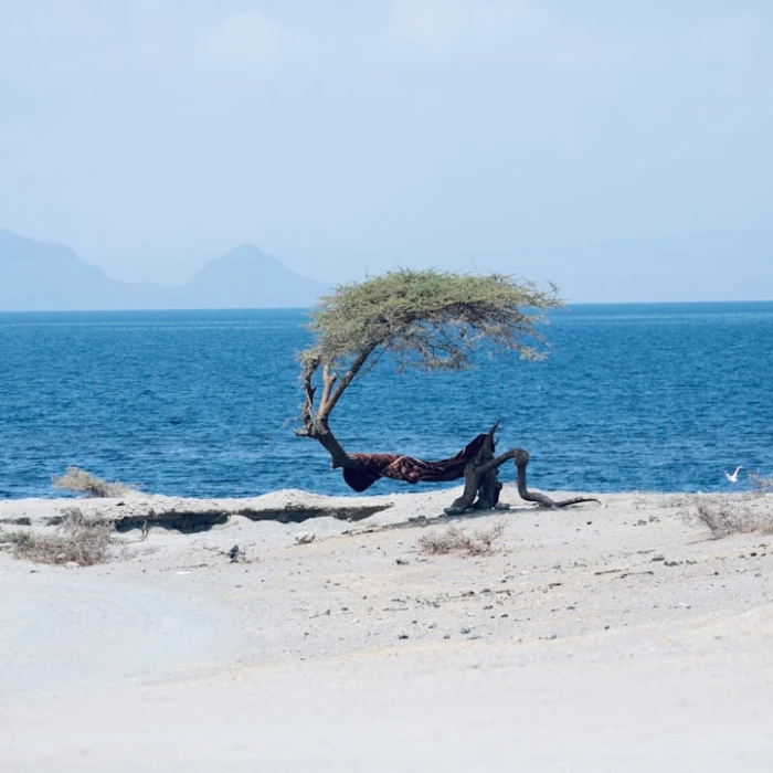 Why Ethiopia Should Be Your Next Winter Destination
