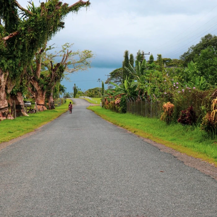 The Best Places for Bird Watching in Papua New Guinea: A Birder's Ultimate Guide