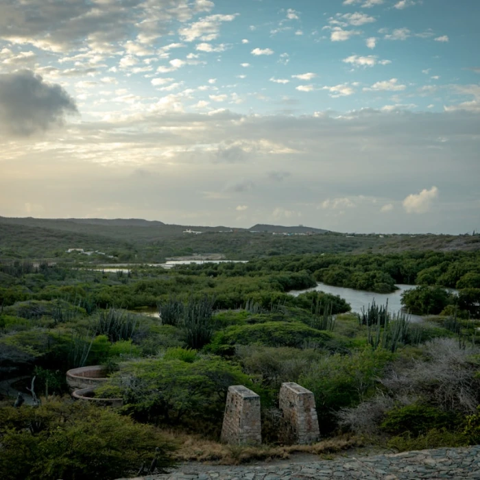 How to Experience Aruba’s Rich Literary History