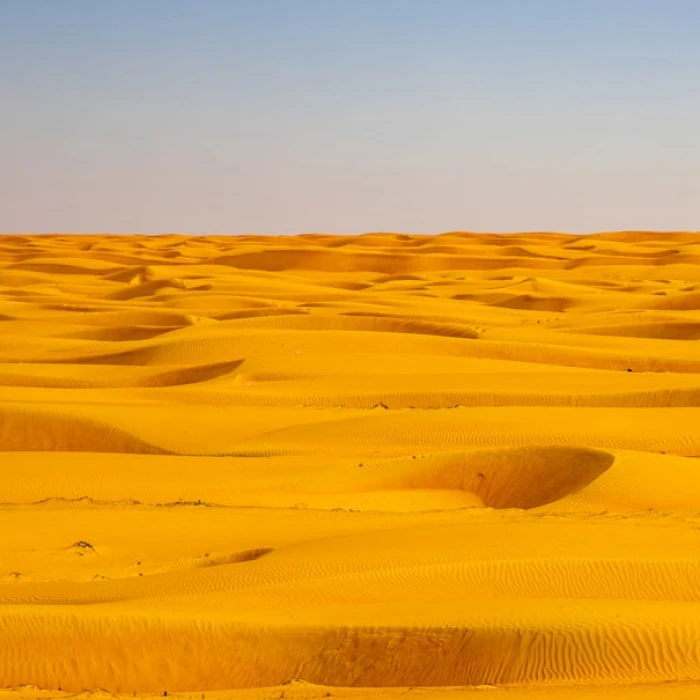 Discover Oman's Architectural Grandeur: A Journey Through Its Most Famous City Halls