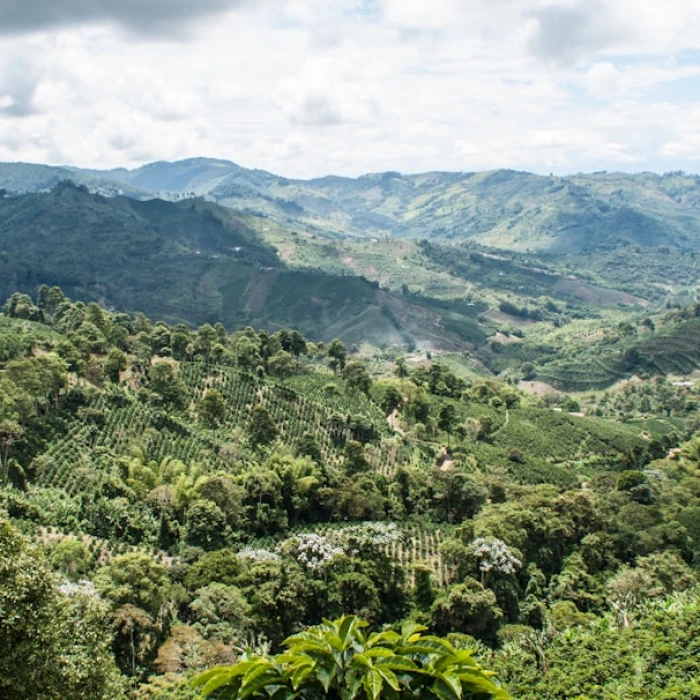 The Best Places for Stargazing and Night Photography in Colombia