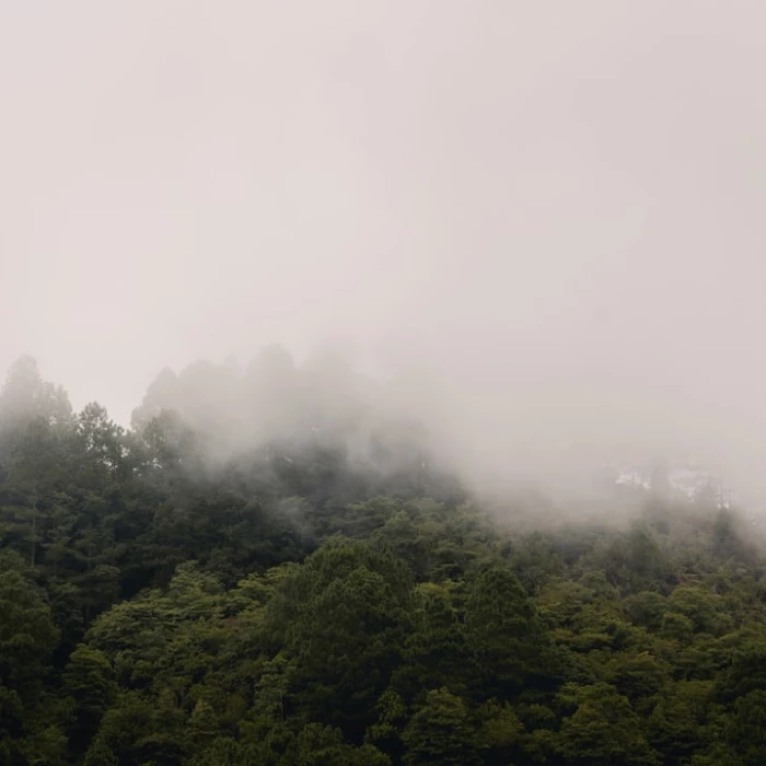 Discover Honduras: Unforgettable Scenic Bus Rides for Adventurous Travelers